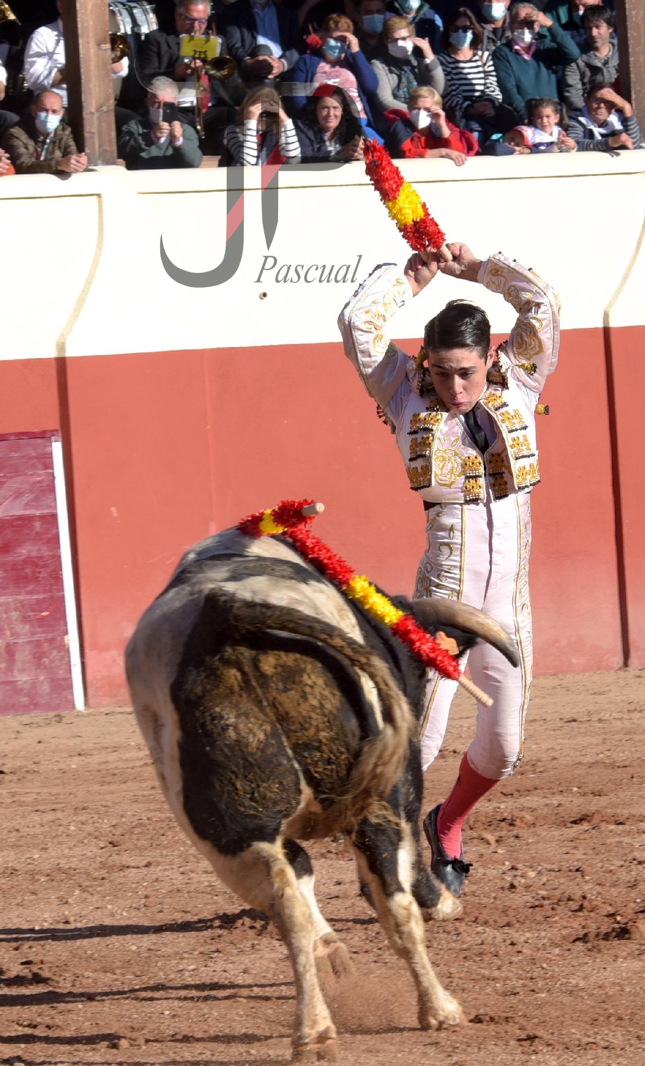 Imagen no cargada